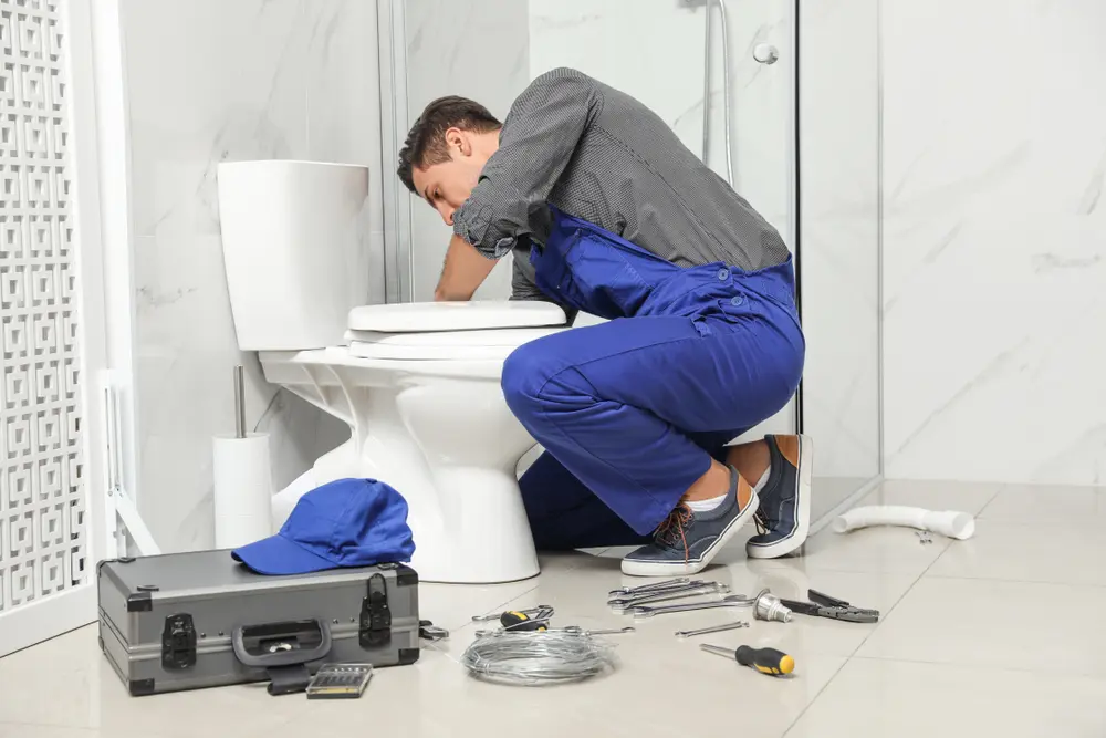 Toilet Installation in Rivereno